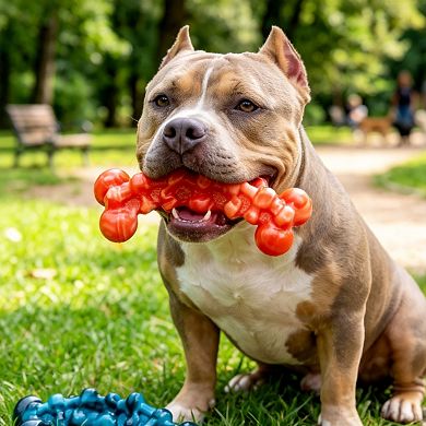 2 Pack Durable Dog Chew Toys Teeth Cleaning for Medium and Large Dogs