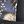 Black Hedgehog