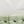 Green White