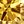 Simulated Citrine