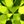 Simulated Peridot