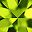 Simulated Peridot
