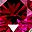 Simulated Ruby