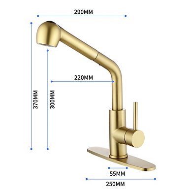 Single Handle High Arc Pull Out Kitchen Faucet with Dual Spray