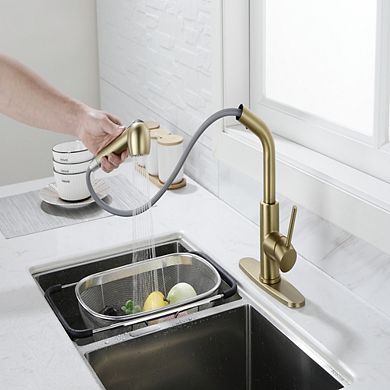 Single Handle High Arc Pull Out Kitchen Faucet with Dual Spray