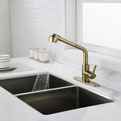 Single Handle High Arc Pull Out Kitchen Faucet with Dual Spray