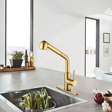 Single Handle High Arc Pull Out Kitchen Faucet with Dual Spray