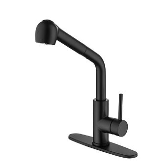 Single Handle High Arc Pull Out Kitchen Faucet with Dual Spray
