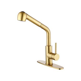 Single Handle High Arc Pull Out Kitchen Faucet with Dual Spray