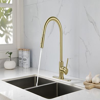 Loheer Modern Pull Down Kitchen Faucet with Sprayer High Arc Single Handle Sink Faucet