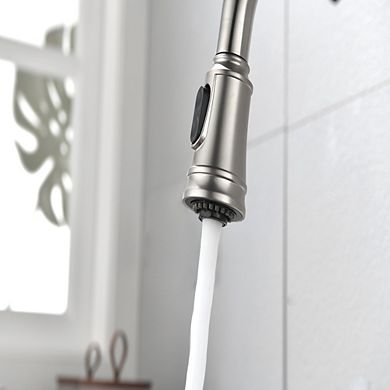 Loheer Single Handle High Arc Pull Out Kitchen Sink Faucet
