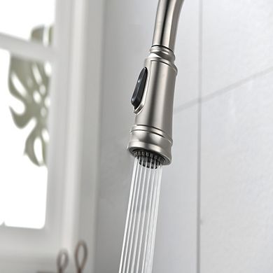Loheer Single Handle High Arc Pull Out Kitchen Sink Faucet