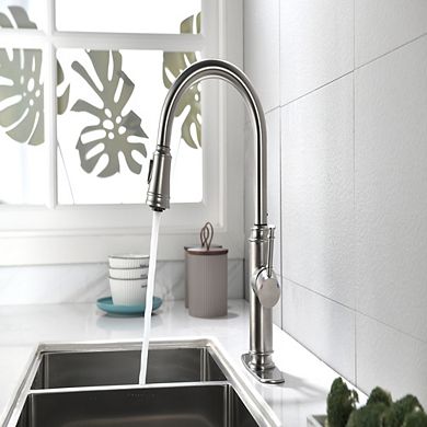Loheer Single Handle High Arc Pull Out Kitchen Sink Faucet