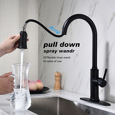 Loheer Modern Single Handle Kitchen Sink Faucet with Pull Out Sprayer