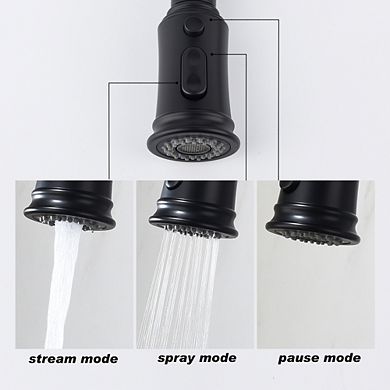 Loheer Modern Single Handle Kitchen Sink Faucet with Pull Out Sprayer