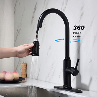 Loheer Modern Single Handle Kitchen Sink Faucet with Pull Out Sprayer