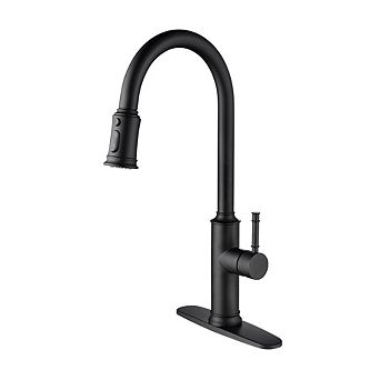 Loheer Modern Single Handle Kitchen Sink Faucet with Pull Out Sprayer