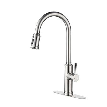 Loheer Modern Single Handle Kitchen Sink Faucet with Pull Out Sprayer