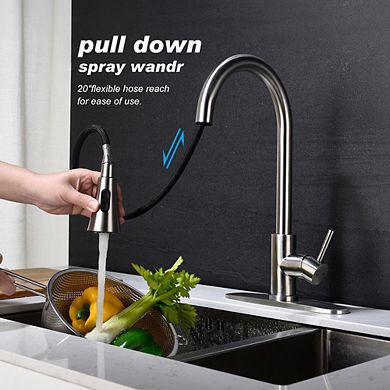 Loheer 16in Pull Out Kitchen Faucet Single Handle Modern Sink Faucet with Sprayer