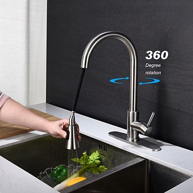 Loheer 16in Pull Out Kitchen Faucet Single Handle Modern Sink Faucet with Sprayer