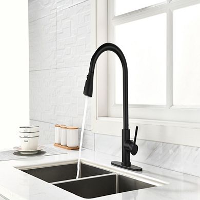 Loheer Pull Out Kitchen Faucet Single Handle Modern Sink Faucet with Sprayer
