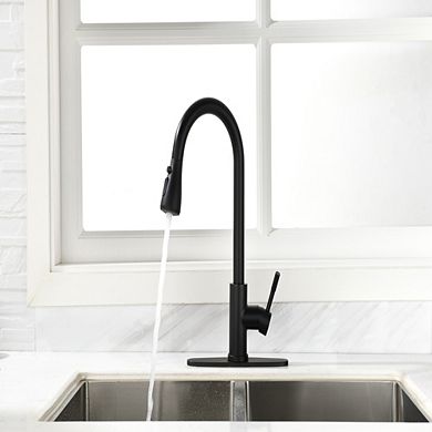 Loheer Pull Out Kitchen Faucet Single Handle Modern Sink Faucet with Sprayer