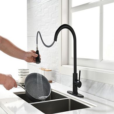 Loheer Pull Out Kitchen Faucet Single Handle Modern Sink Faucet with Sprayer