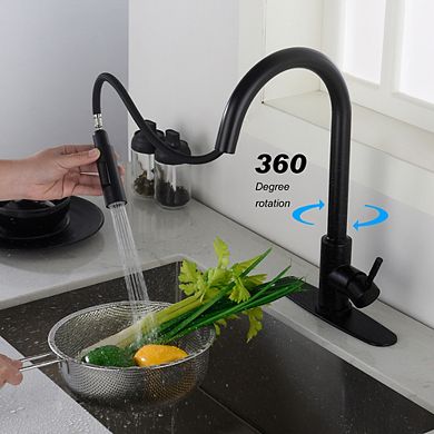 Loheer Smart Touch Kitchen Faucet with Pull Down Sprayer