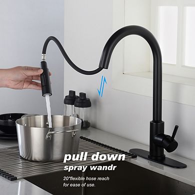 Loheer Smart Touch Kitchen Faucet with Pull Down Sprayer