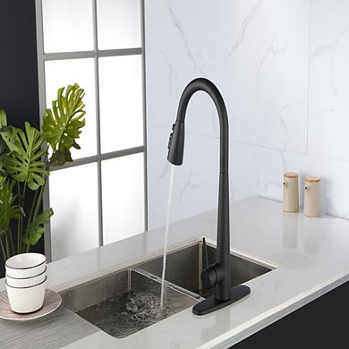 Loheer High Arc Pull Down Kitchen Faucet Single Handle with Deck Plate
