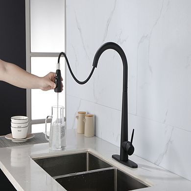 Loheer High Arc Pull Down Kitchen Faucet Single Handle with Deck Plate