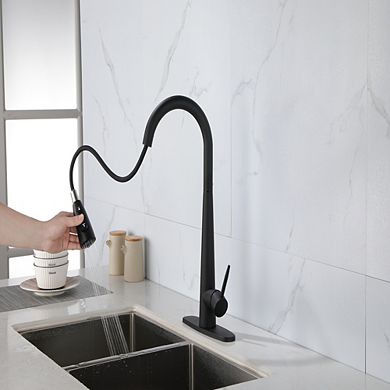 Loheer High Arc Pull Down Kitchen Faucet Single Handle with Deck Plate