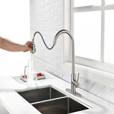 Loheer High Arc Single Handle Pull Down Kitchen Sink Faucet with Retractable Sprayer