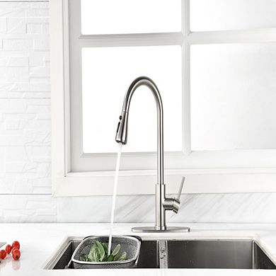 Loheer High Arc Single Handle Pull Down Kitchen Sink Faucet with Retractable Sprayer