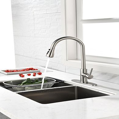 Loheer High Arc Single Handle Pull Down Kitchen Sink Faucet with Retractable Sprayer