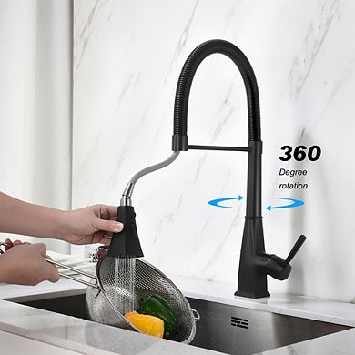 Loheer Single Handle Kitchen Faucet with Pull Down Sprayer High Arc Mixer Tap