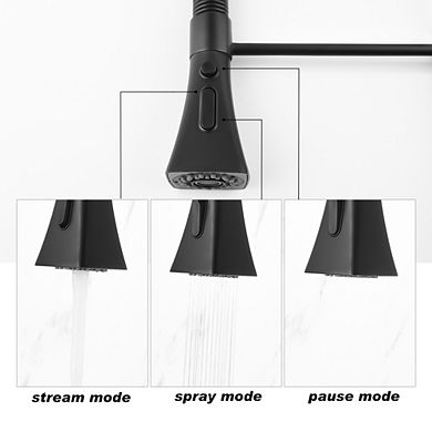 Loheer Single Handle Kitchen Faucet with Pull Down Sprayer High Arc Mixer Tap