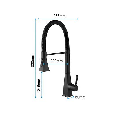 Loheer Single Handle Kitchen Faucet with Pull Down Sprayer High Arc Mixer Tap