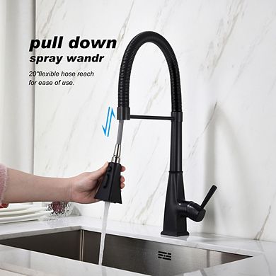 Loheer Single Handle Kitchen Faucet with Pull Down Sprayer High Arc Mixer Tap