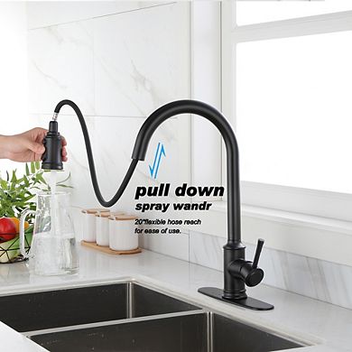 Loheer Touch Kitchen Faucet with Pull Down Sprayer Smart Sensor Sink Tap