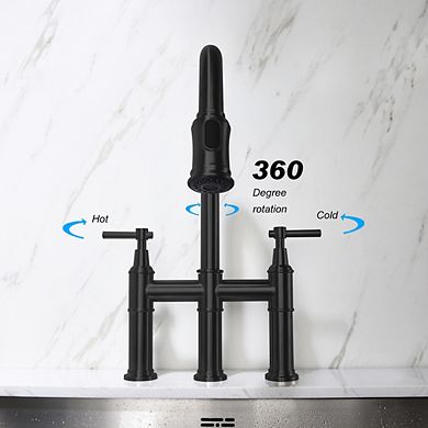 Loheer Spot Resistant Bridge Kitchen Faucet with Pull Down Sprayhead
