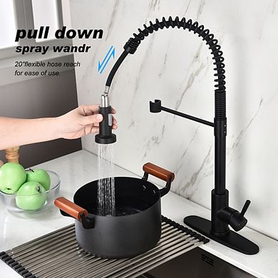 Loheer Heavy Duty Single Handle Kitchen Faucet with Pull Out Sprayer