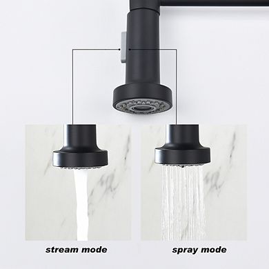 Loheer Heavy Duty Single Handle Kitchen Faucet with Pull Out Sprayer