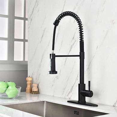 Loheer Heavy Duty Single Handle Kitchen Faucet with Pull Out Sprayer