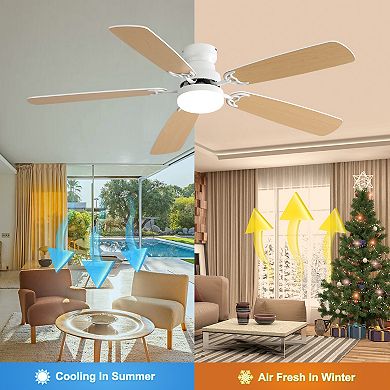 Modern 52 Inch Ceiling Fan with Light and Remote, for Living Room