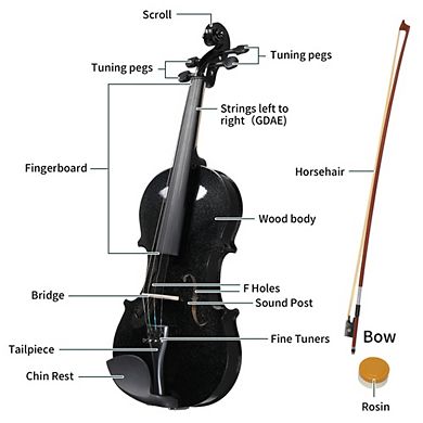 Full Size 4/4 Violin Set for Adults & Studentswith Hard Case, Arbor Bow, Violin Bow,Shoulder Rest