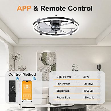 Loheer LED Ceiling Fan With Light 23.6 Inch Flush Mount Dimmable Remote For Bedroom Living Room