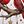 Red Cardinal Birds