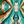 Teal Orange Shells