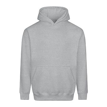 Awdis Unisex Adult Vision Heavyweight Hoodie